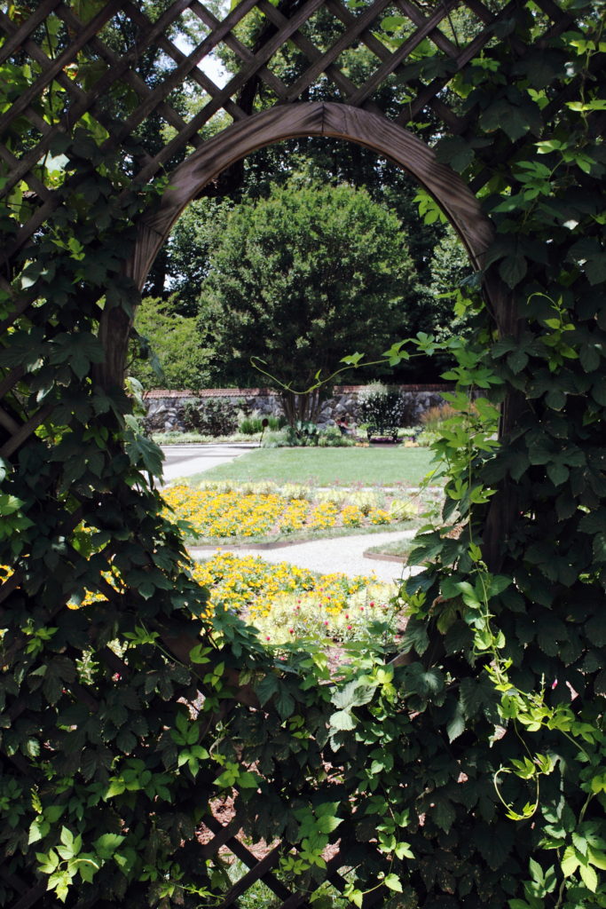 The Biltmore gardens