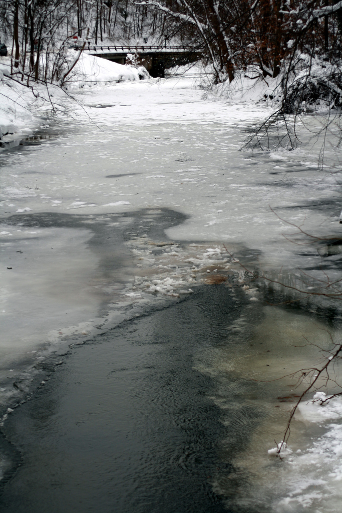 Rock Creek Park snow storm