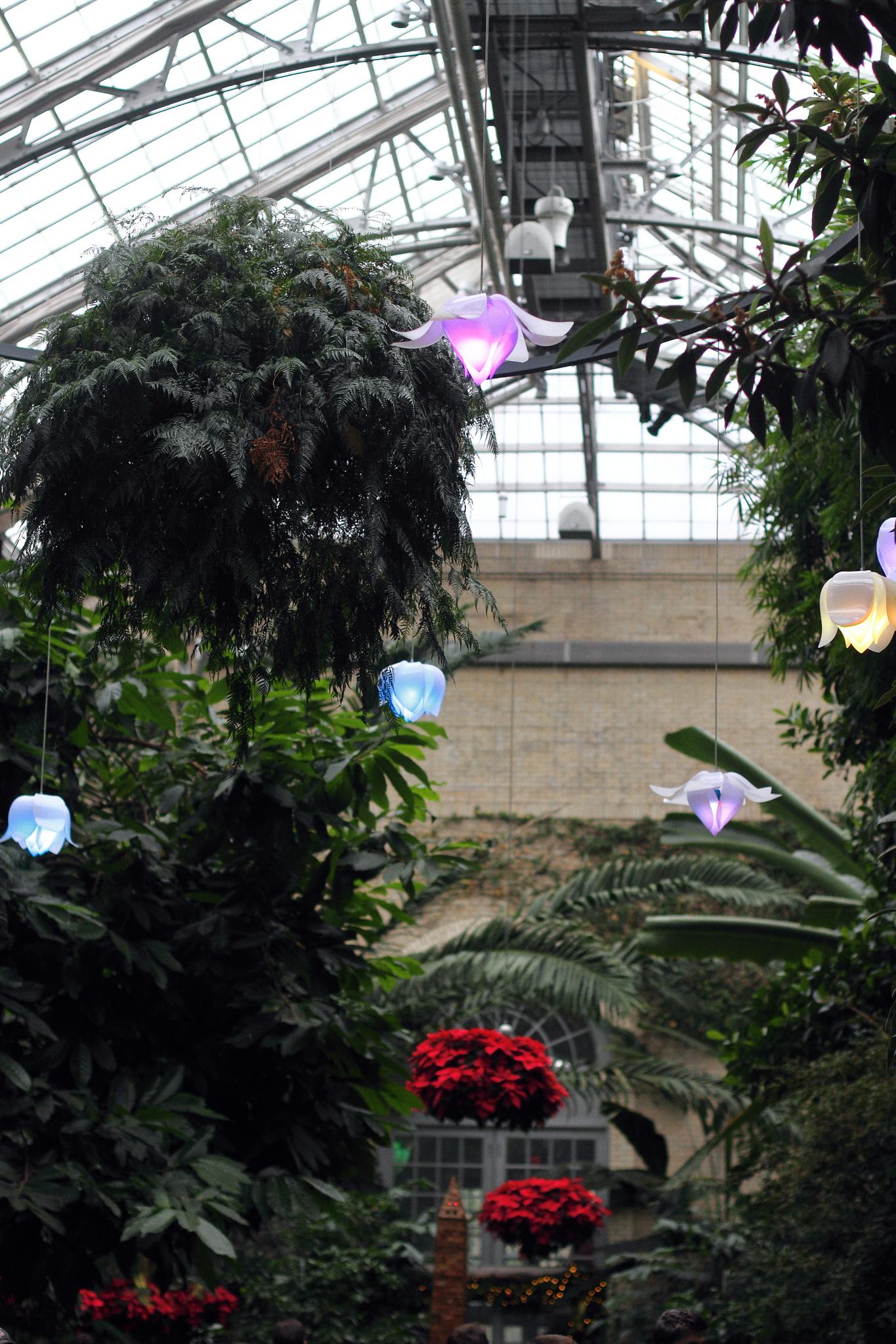 holiday display at U.S. Botanic Garden