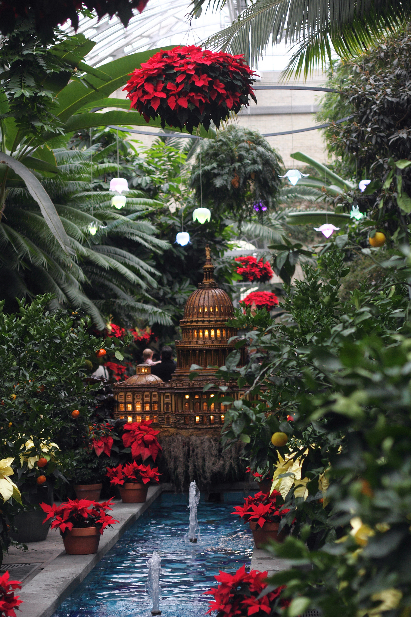 holiday display at U.S. Botanic Garden