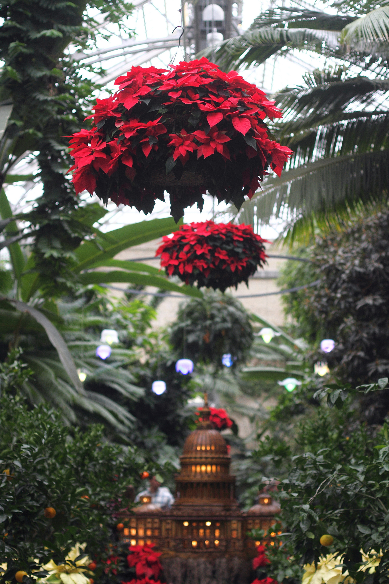 holiday display at U.S. Botanic Garden