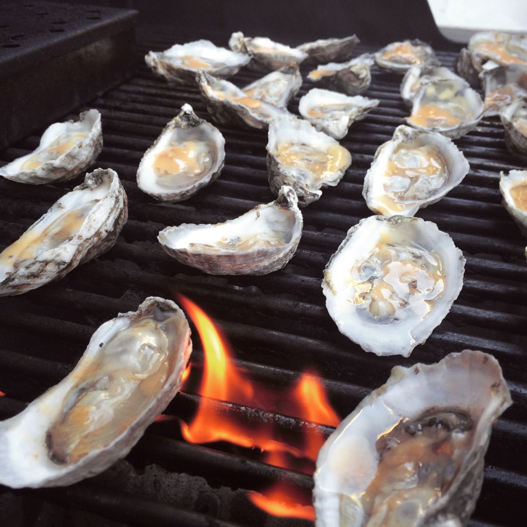 BBQ Oysters Recipe