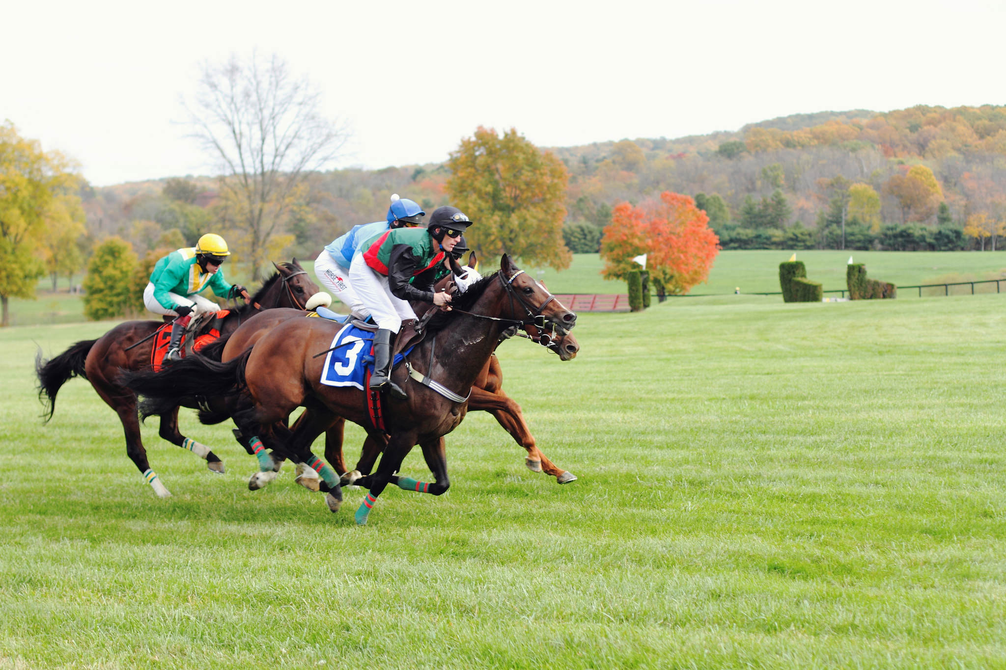 Fall Gold Cup