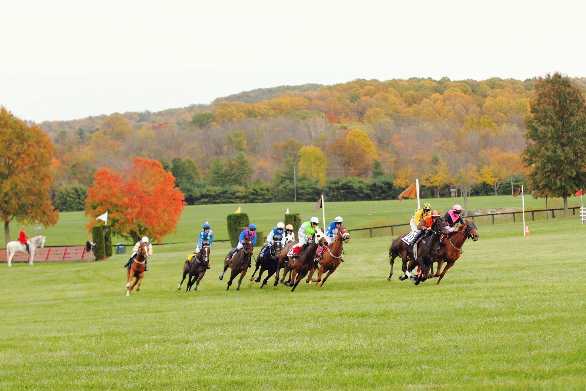 Fall Gold Cup