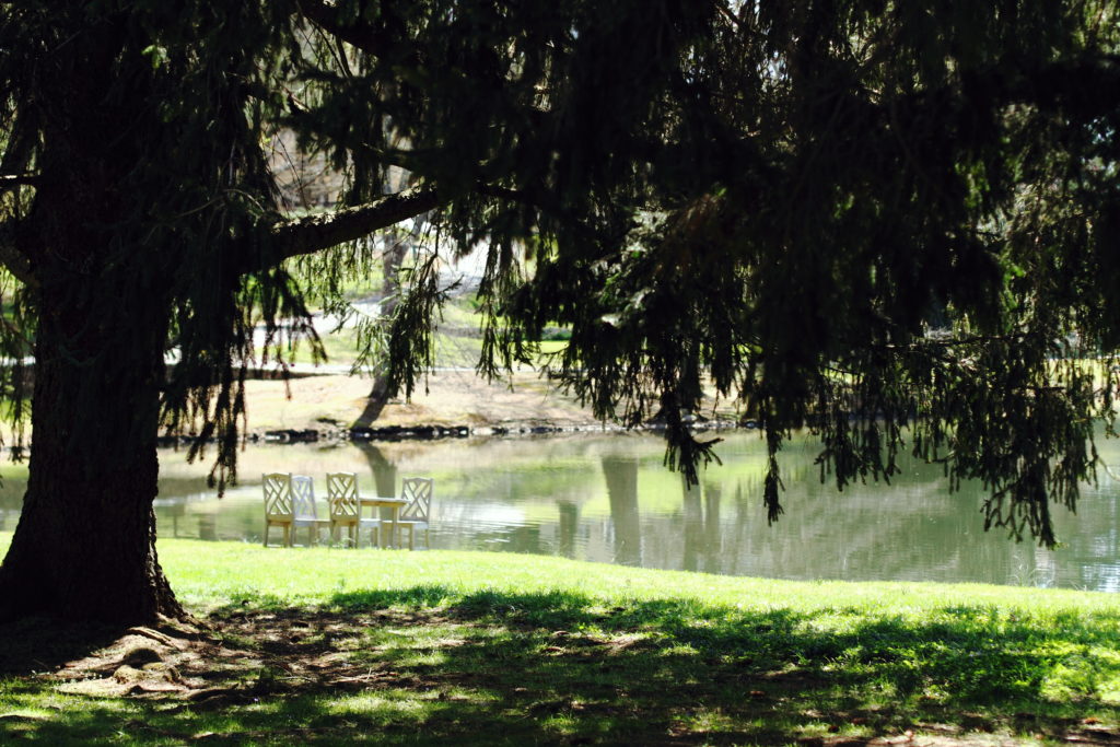 a green escape in Airlie, Virginia