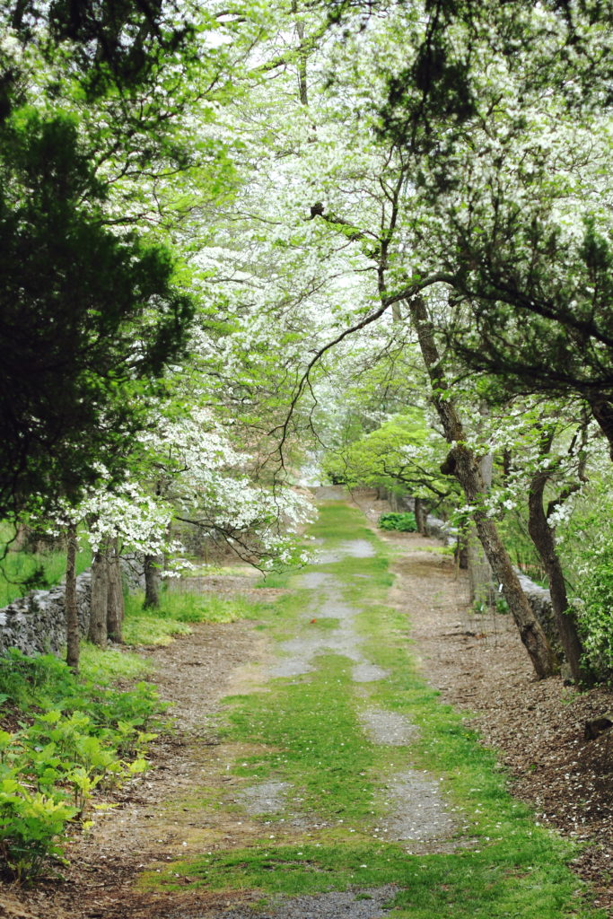 Virginia State Arboretum