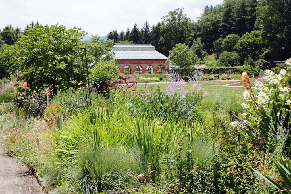 The Biltmore gardens