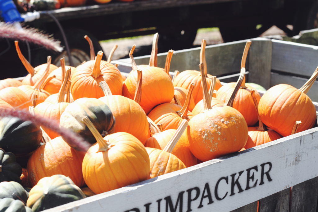 Mapleton and Clearview Farms, Virginia