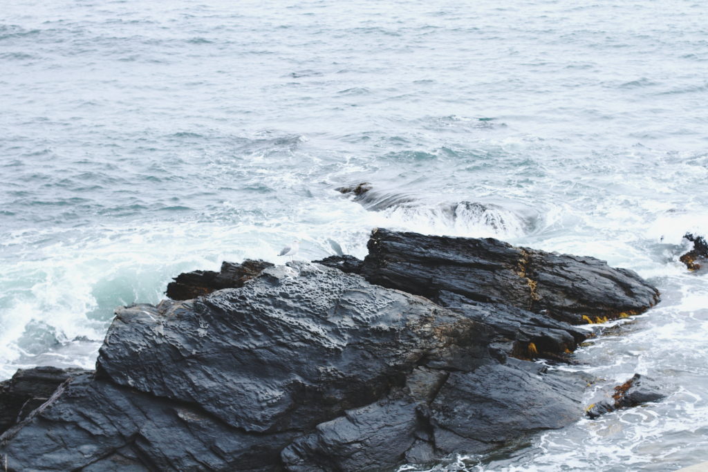 The Cliff Walk, Newport, RI