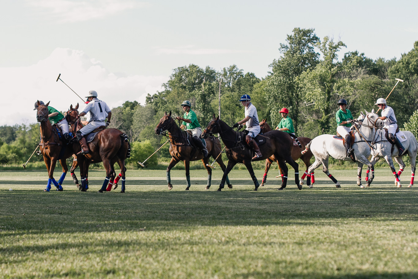 Summerhill Polo