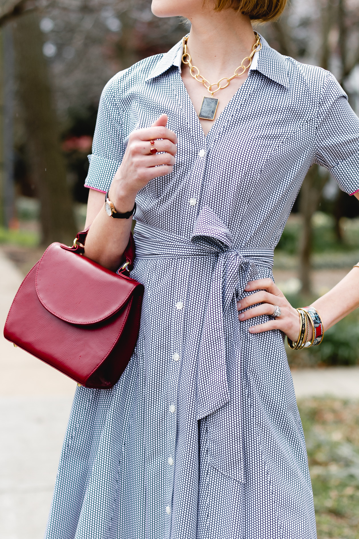 Queen Bee Designs necklace and Brooks Brothers shirt dress