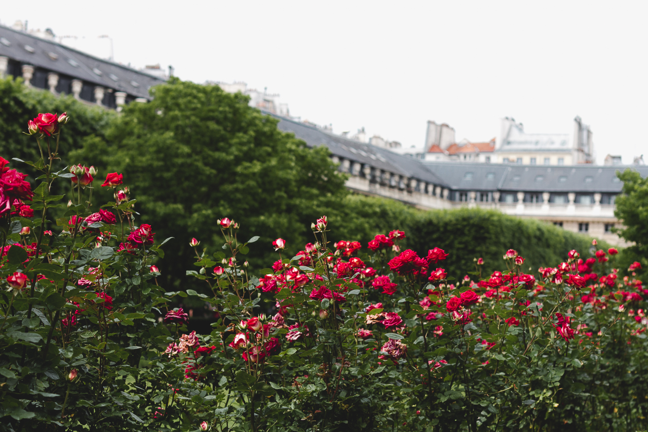 Palais-Royal Gardens