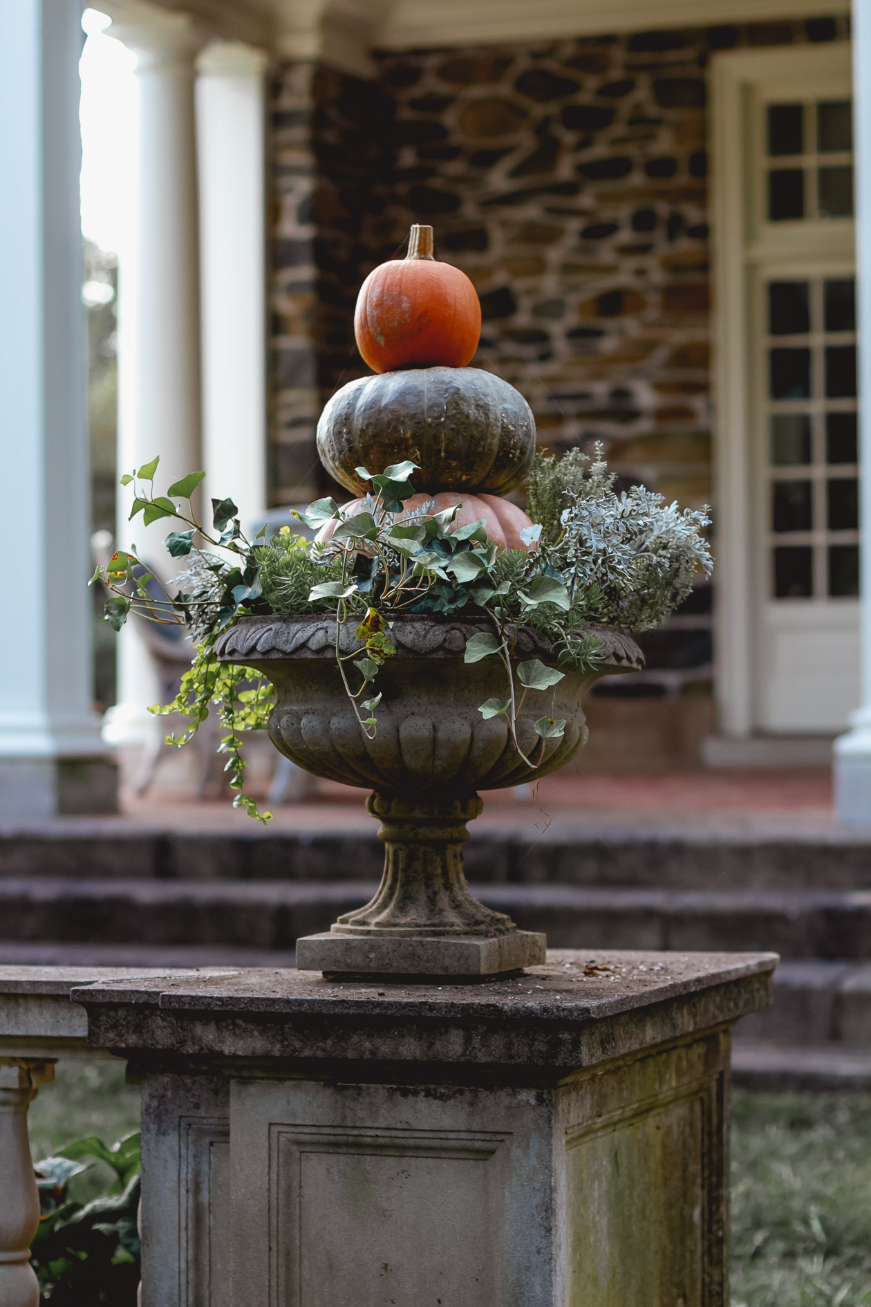 Ayrshire Farm, Virginia