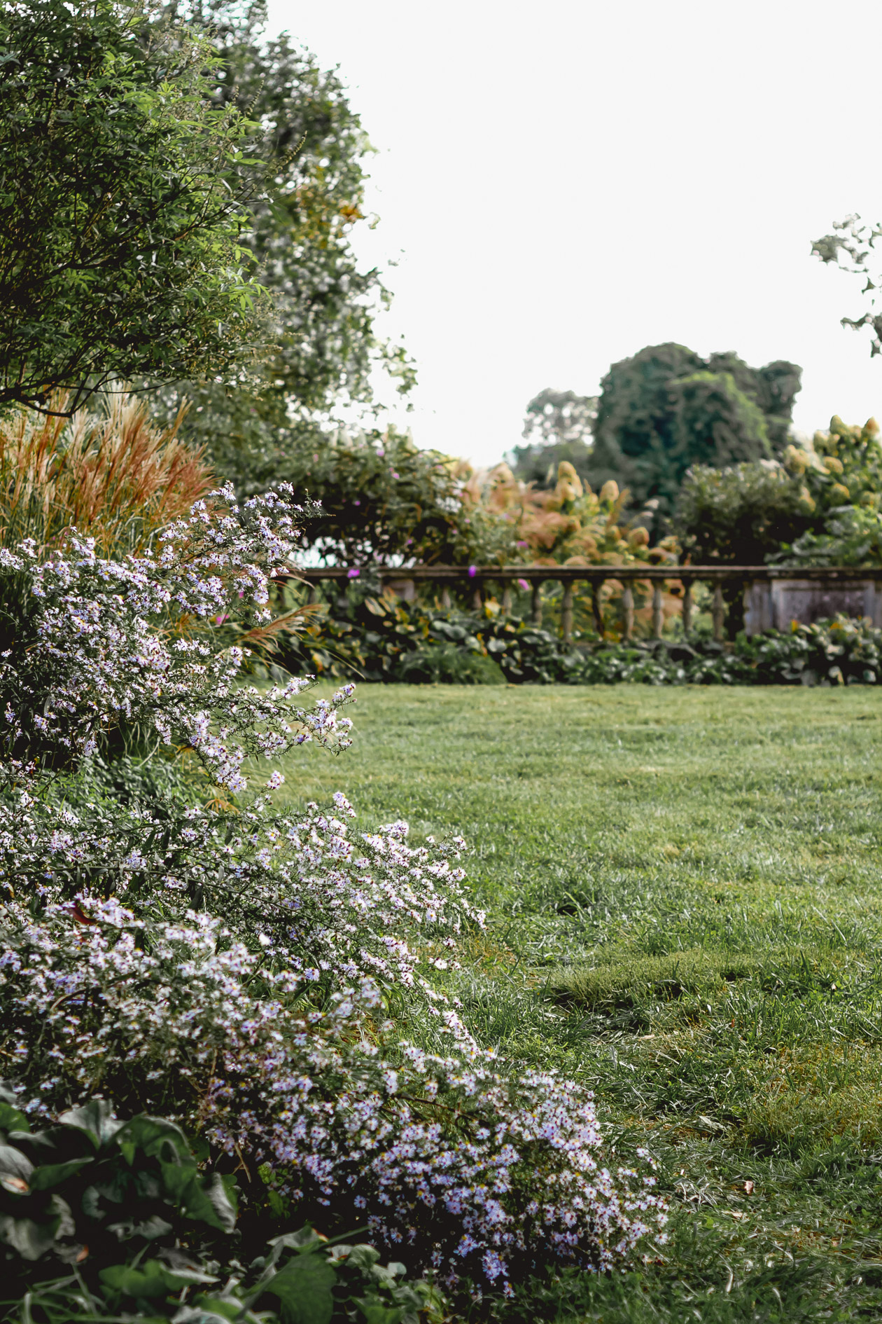 Ayrshire Farm, Virginia