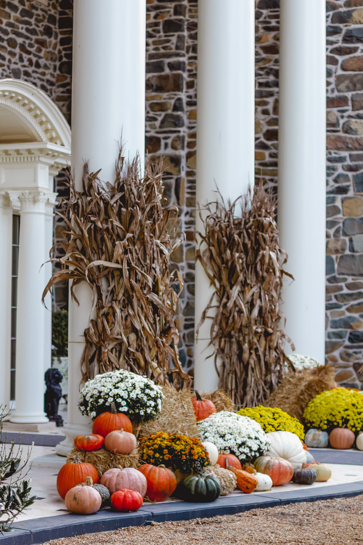 Ayrshire Farm, Virginia