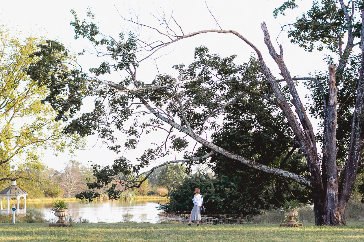 Ayrshire Farm, Virginia