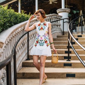 Saylor embroidered lace dress