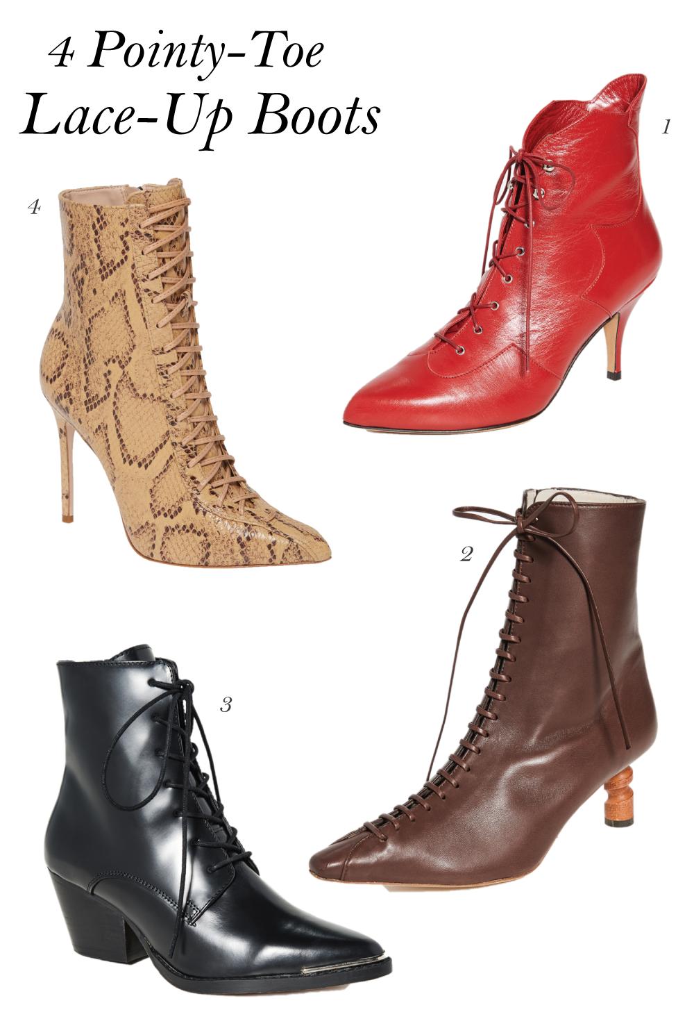 4 Pointy-Toe Lace-Up Boots